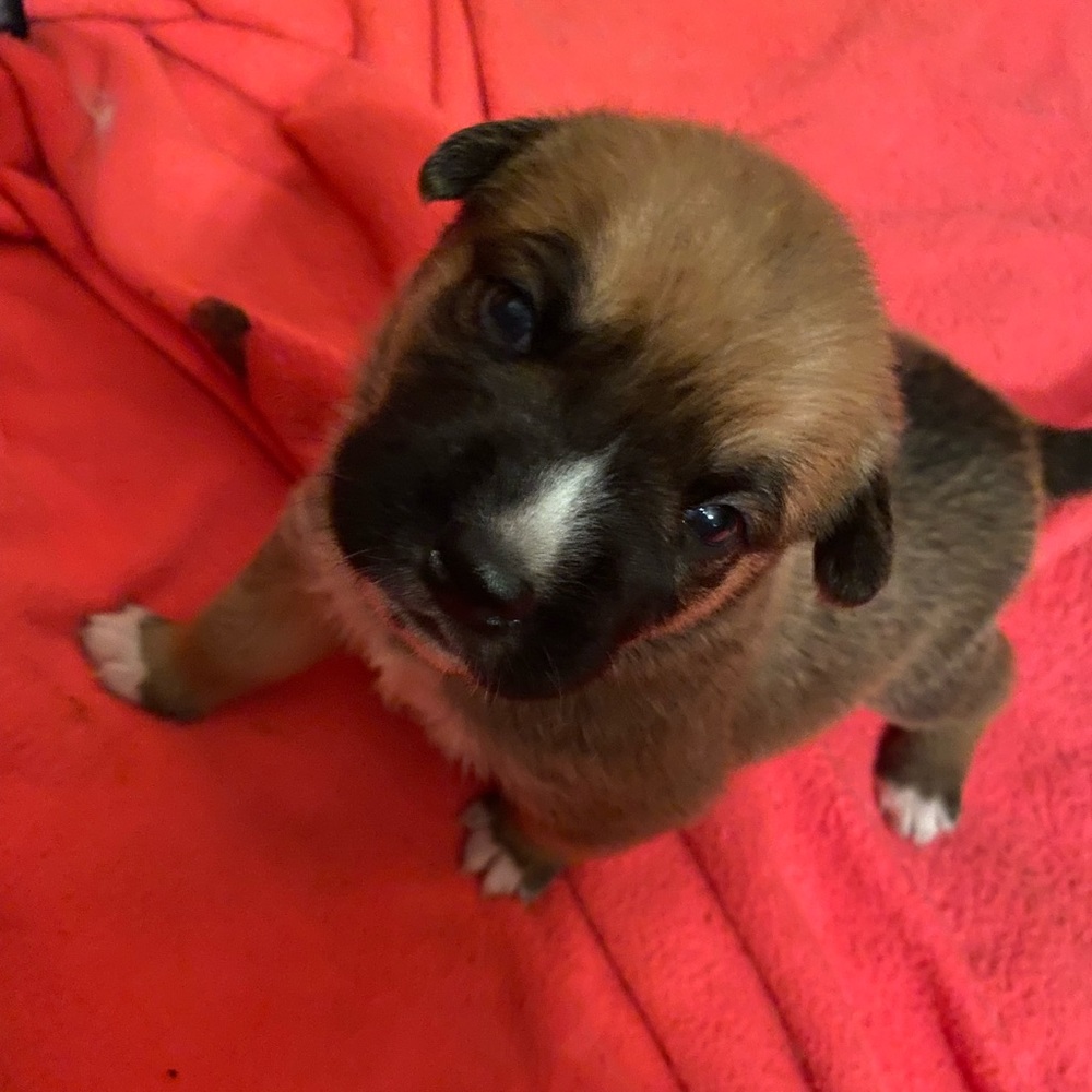 Meet your Posher, Crystal